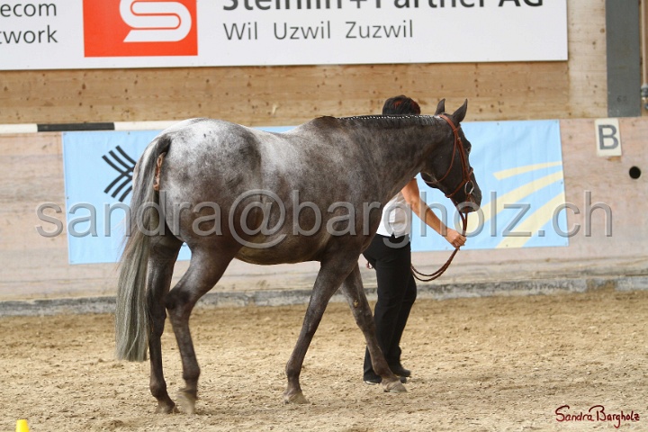 24-ApHC HIH_033.jpg